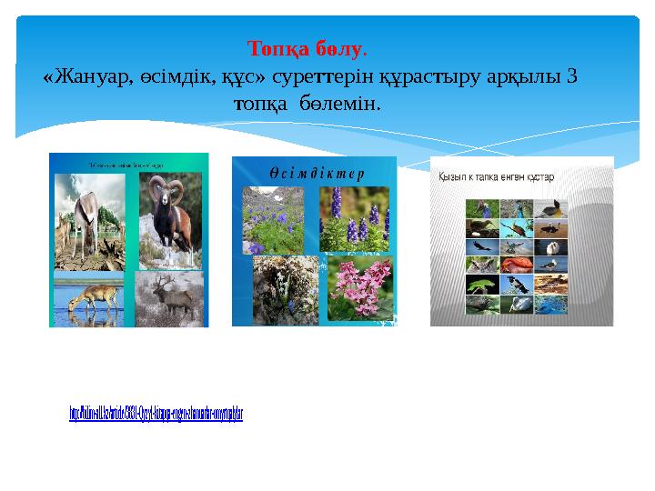 Топқа бөлу. «Жануар, өсімдік, құс» суреттерін құрастыру арқылы 3 топқа бөлемін. http://bilim-all.kz/article/3831-Qyzyl-kita