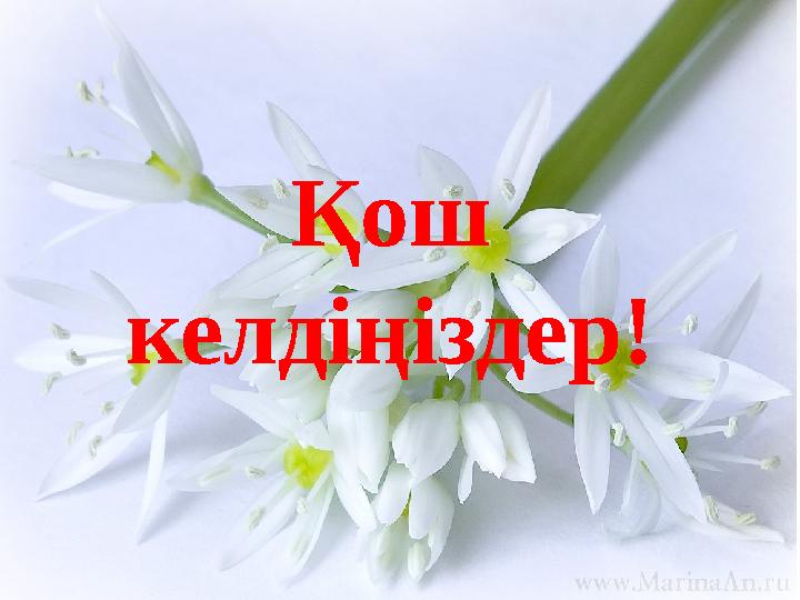 Қош келдіңіздер!