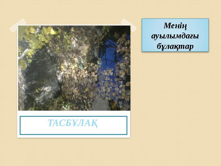 Менің ауылымдағы бұлақтар ТАСБҰЛАҚ