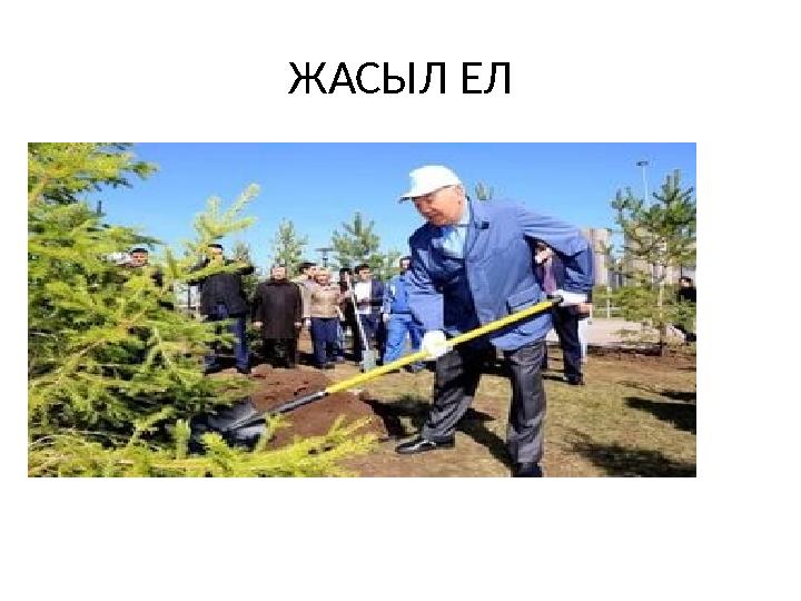 ЖАСЫЛ ЕЛ