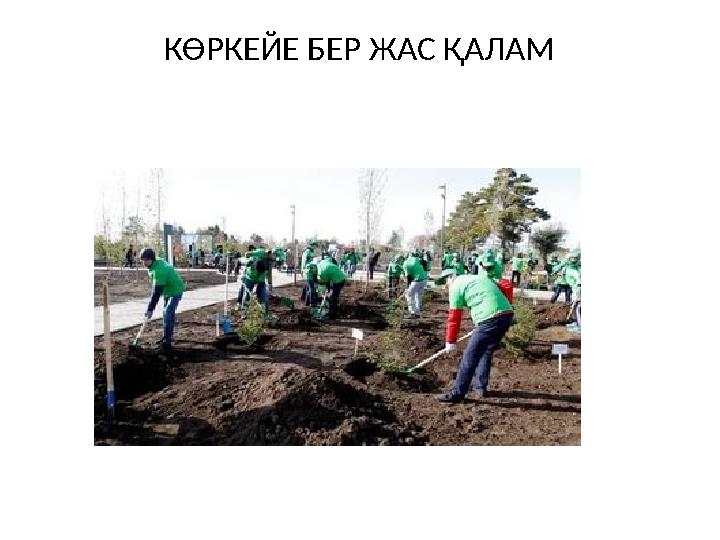 КӨРКЕЙЕ БЕР ЖАС ҚАЛАМ