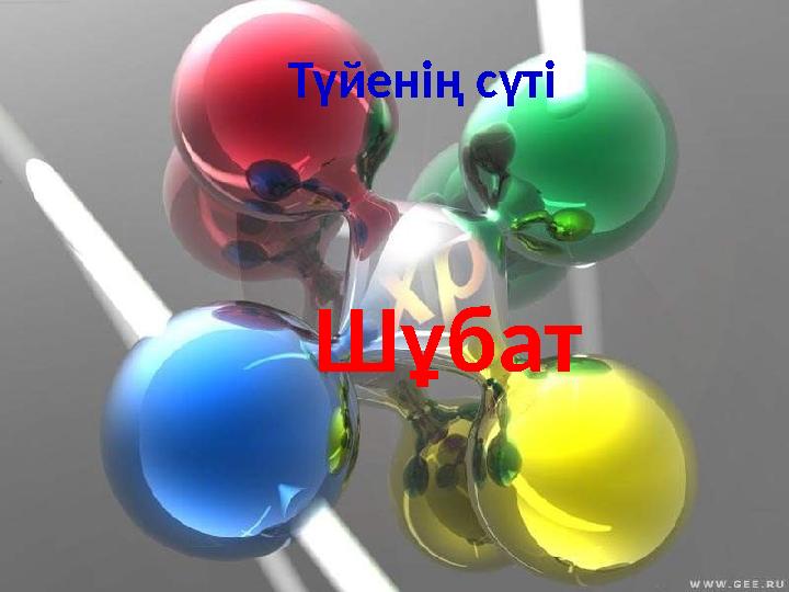 Түйенің сүті Шұбат