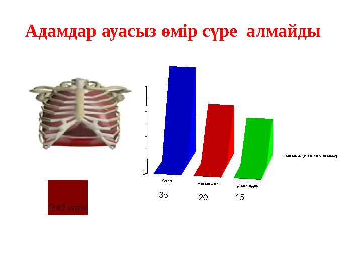 тыныс алу- тыныс шығару бала жеткіншек үлкен адам 0 5 10 15 20 25 30 3535 20 15Адамдар ауасыз өм i р сүре алмайды Pril2.wm