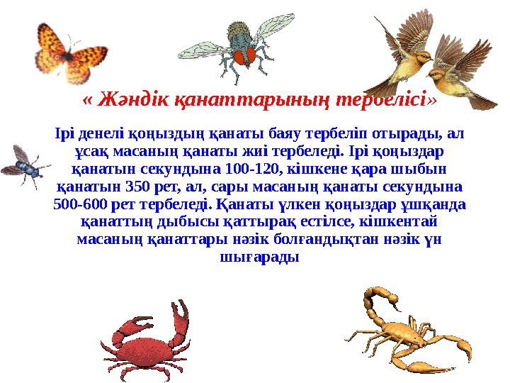 « Жәндік қанаттарының тербелісі » Ірі денелі қоңыздың қанаты баяу тербеліп отырады, ал ұсақ масаның қанаты жиі тербеледі. Ірі қ