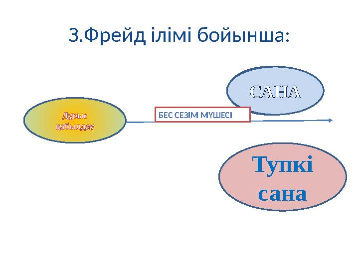 З.Фрейд ілімі бойынша: САНА Тупкі сана Дұрыс қабылдау БЕС СЕЗІМ МҮШЕСІ