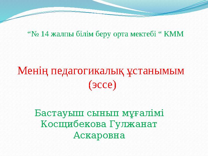 Кискаңызды қалай сүртуге болады