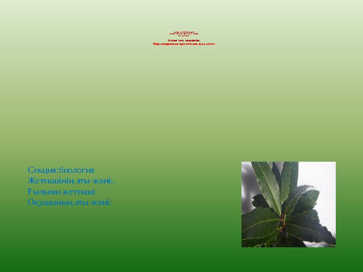 Біздің веб-сайт пайдаланушыларының мүшелері