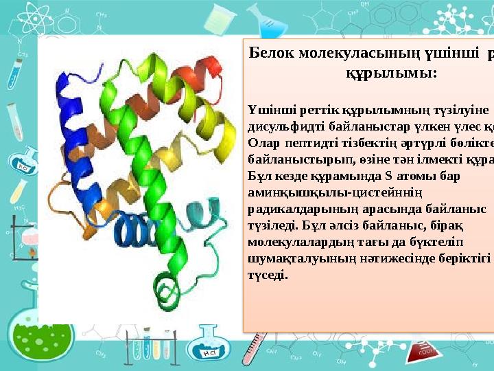 Белок молекуласының үшінші реттік құрылымы: Үшінші реттік құрылымның түзілуіне дисульфидті байланыстар үлкен үлес қосады. О