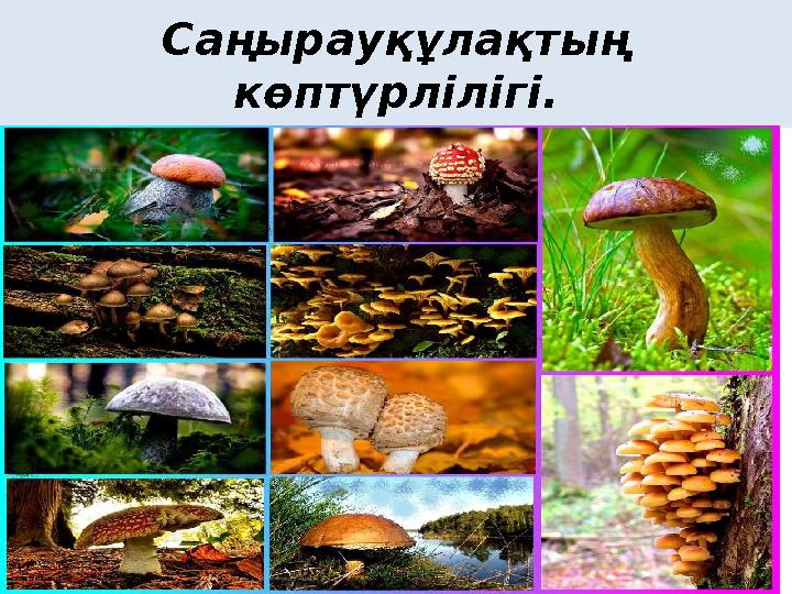 Орыс порносы: Ашулы әйел жас жігітке жалап береді