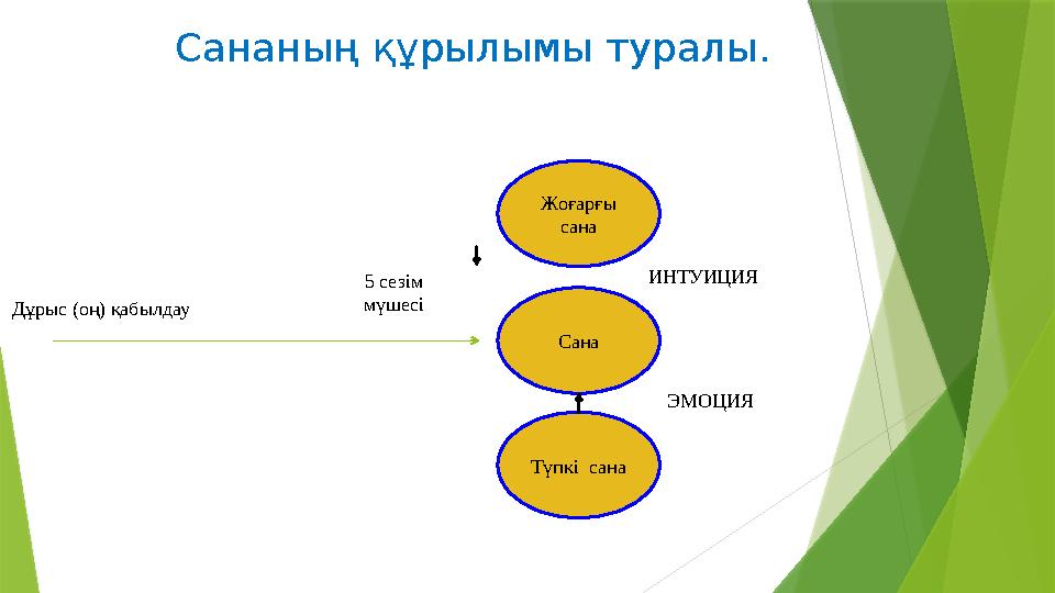 Сананың құрылымы туралы. Жоғарғы сана Сана Түпкі сана ИНТУИЦИЯ ЭМОЦИЯ5 сезім мүшесі Дұрыс (оң) қабылдау