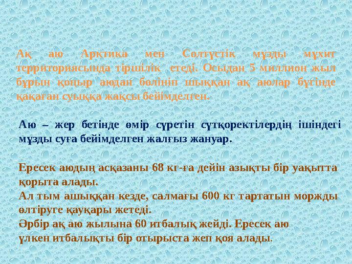 Ақ аю Арктика мен Солтүстік мұзды мұхит территориясында тіршілік етеді. Осыдан 5 миллион жыл бұрын қоңыр аюдан