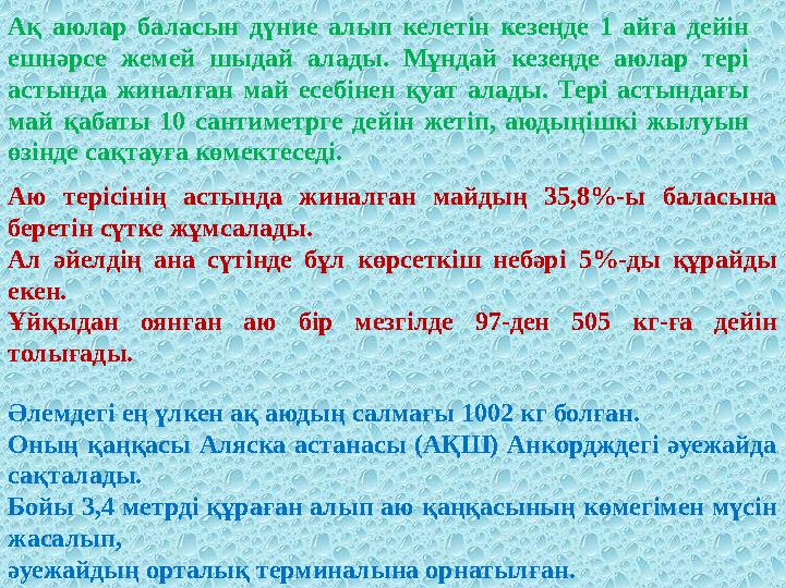 Ақ аюлар баласын дүние алып келетін кезеңде 1 айға дейін ешнәрсе жемей шыдай алады. Мұндай кезеңде аюлар тері