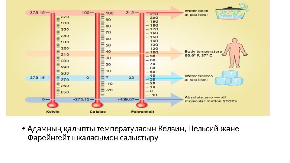 •Адамның қалыпты температурасын Келвин, Цельсий және Фарейнгейт шкаласымен салыстыру