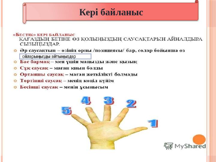 Кері байланыс ойларыңызды айтыңыздар