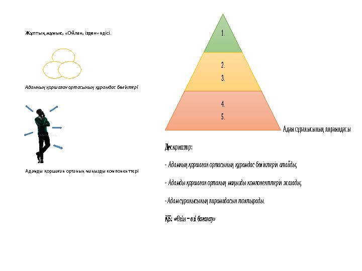 Жұптық жұмыс, «Ойлан, ізден» әдісі. Адамның қоршаған ортасының құрамдас бөліктері Адамды қоршаған ортаның маңызд