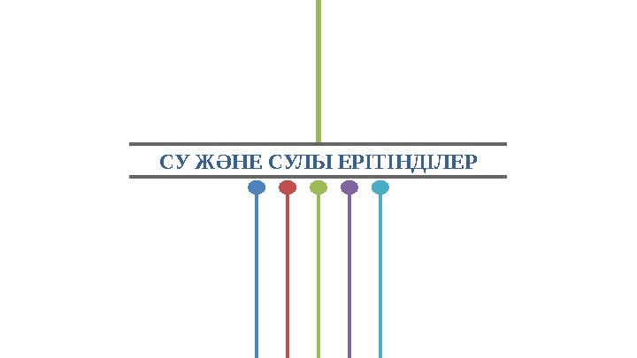 Сұлулар жігіттерді еліктіреді