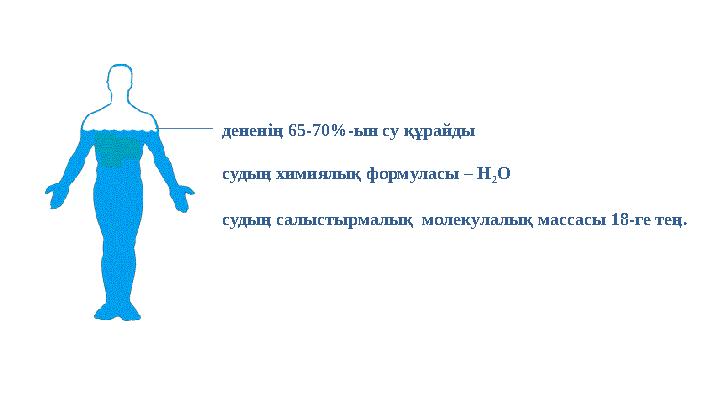 дененің 65-70%-ын су құрайды судың химиялық формуласы – H 2 O судың салыстырмалық молекулалық массасы 18-ге тең.