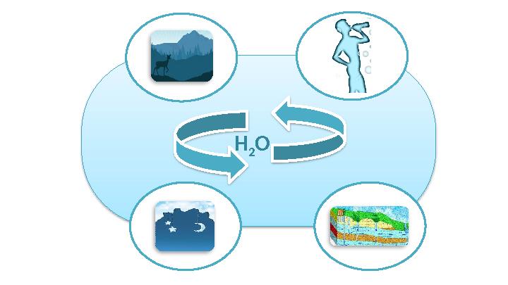 H 2 O