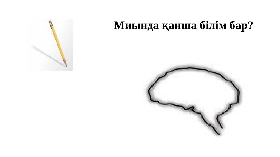 Миында қанша білім бар?