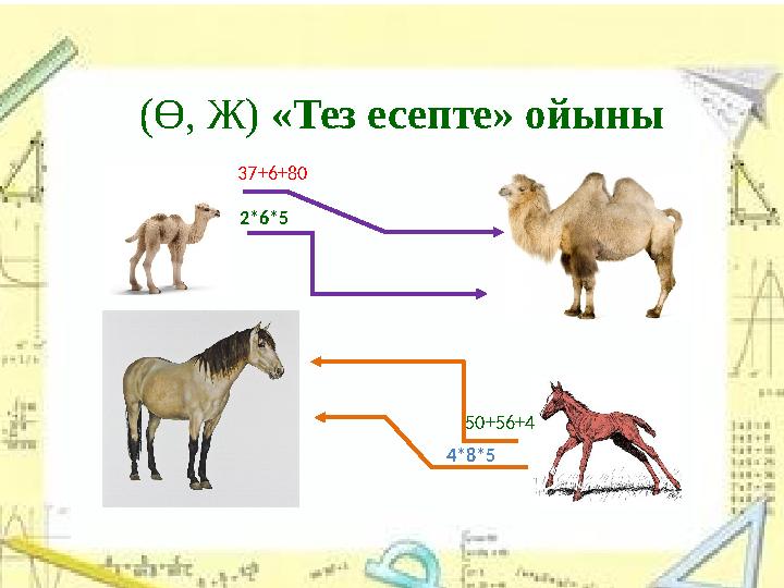 (Ө, Ж) «Тез есепте» ойыны 37+6+80 2*6*5 50+56+4 4*8*5
