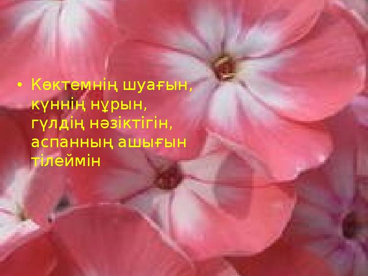 • Көктемнің шуағын, күннің нұрын, гүлдің нәзіктігін, аспанның ашығын тілеймін