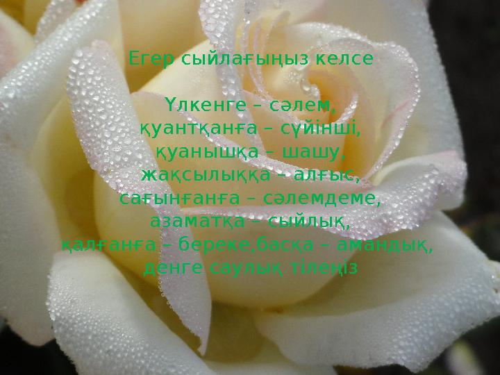 Егер сыйлағыңыз келсе Үлкенге – сәлем, қуантқанға – сүйінші, қуанышқа – шашу, жақсылыққа – алғыс, сағынғанға – сәлемдеме, азамат