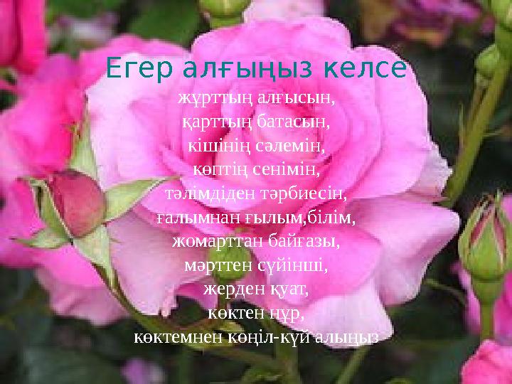 Егер алғыңыз келсе жұрттың алғысын, қарттың батасын, кішінің сәлемін, көптің сенімін, тәлімдіден тәрбиесін, ғалымнан ғылым,білім