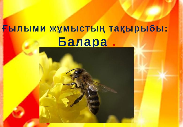 Ғ ы л ы м и ж ұ м ы с т ы ң т а қ ы р ы б ы : Б а л а р а .