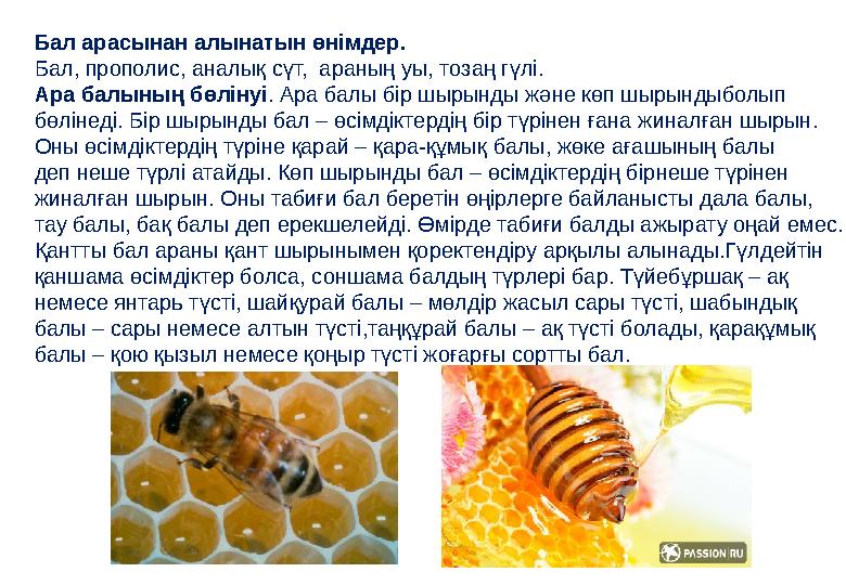 Бал арасынан алынатын өнімдер . Бал, прополис, аналық сүт, араның уы, тозаң гүлі. Ара балының бөлінуі . Ара балы бір шырын