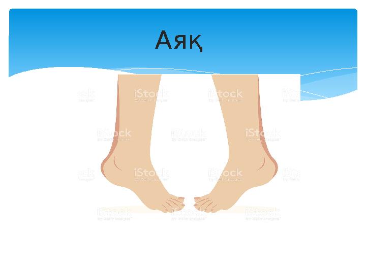 Аяқ