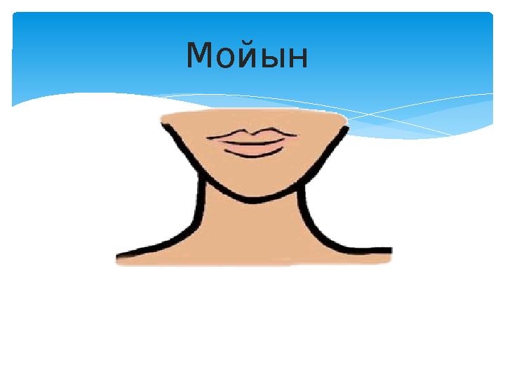 Мойын