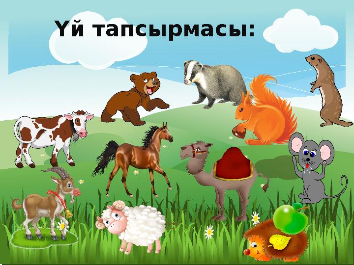 Үй тапсырмасы: