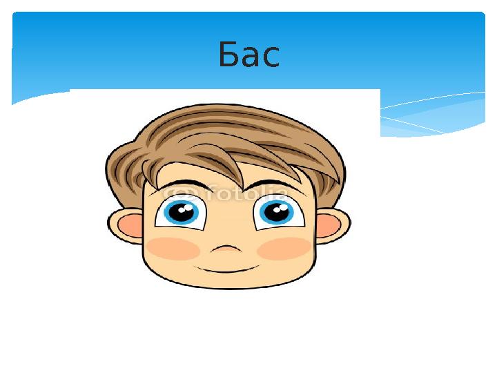 Бас