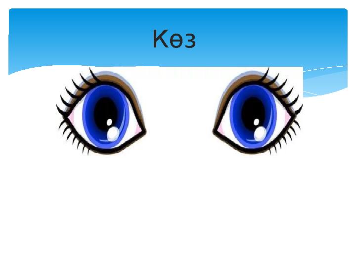 Көз