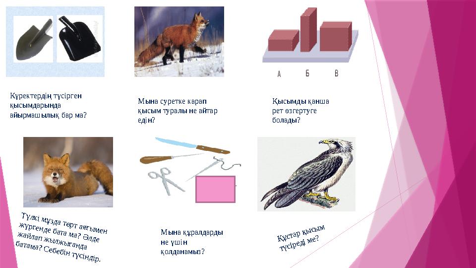 Түлкі мұзда төрт аяғы мен ж үргенде бата ма? Ә лде ж айлап ж ы лж ы ғанда батама? С ебебін түсіндір.Күректердің түсірген қ