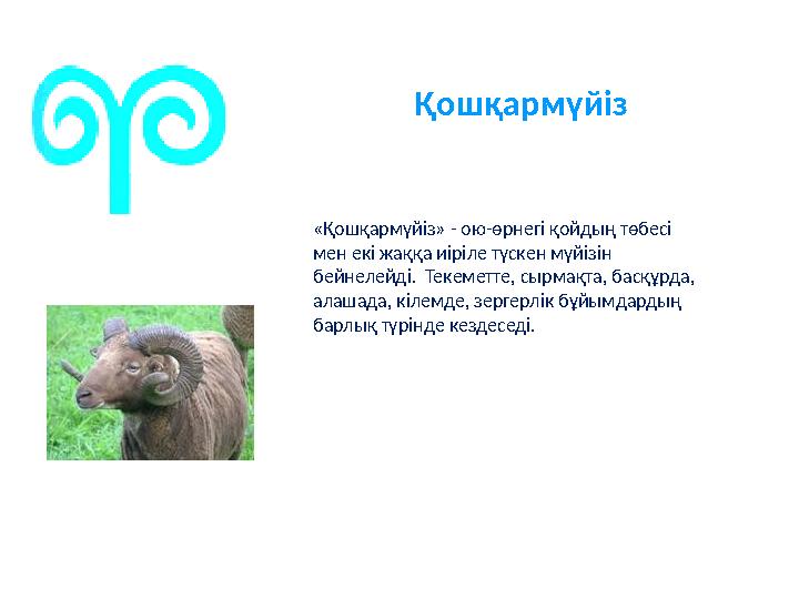 «Қошқармүйіз» - ою-өрнегі қойдың төбесі мен екі жаққа иіріле түскен мүйізін бейнелейді. Текеметте, сырмақта, басқұрда, алаша