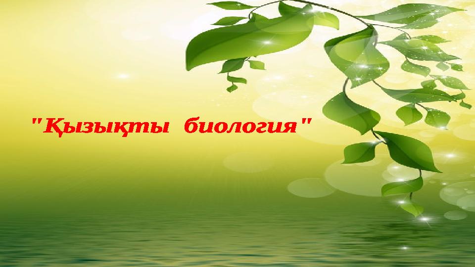 Би сийістің оргиясы