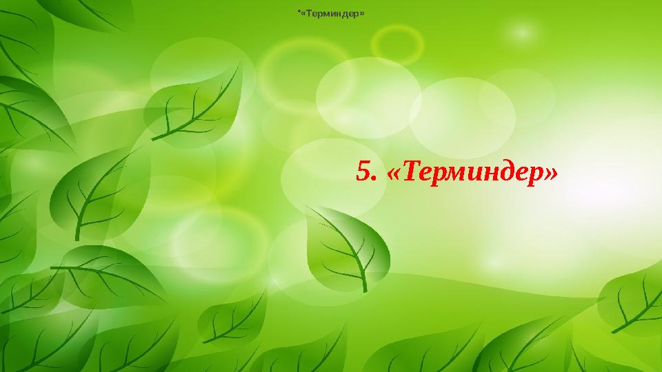 • «Терминдер» 5. «Терминдер»