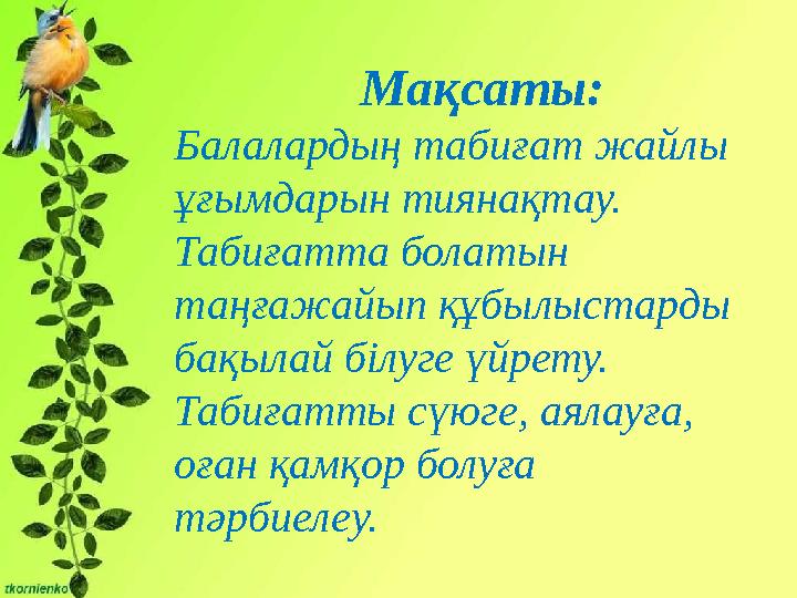 Мақсаты: Балалардың табиғат жайлы ұғымдарын тиянақтау. Табиғатта болатын таңғажайып құбылыстарды бақылай білу