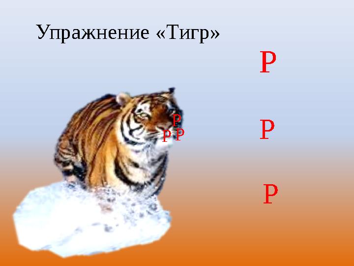 Р Р Р Р Р РУпражнение «Тигр»