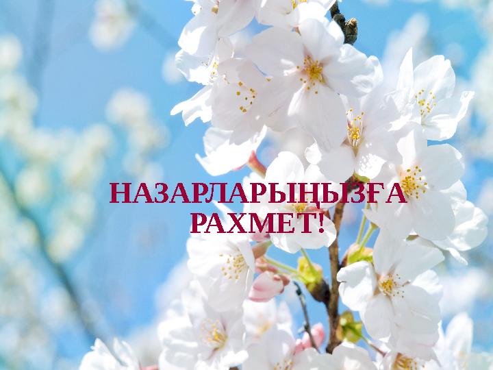 НАЗАРЛАРЫҢЫЗҒА РАХМЕТ!