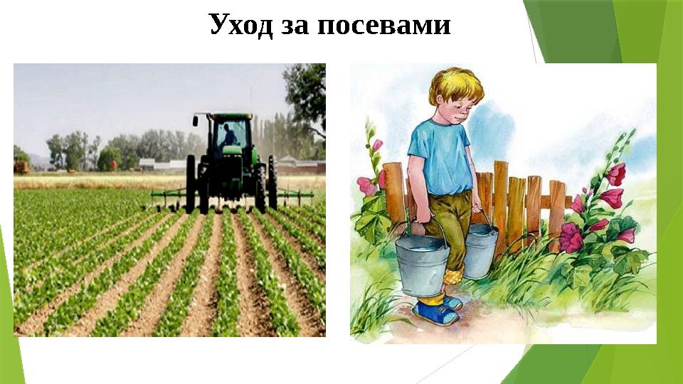 Уход за посевами