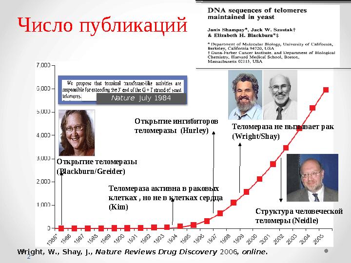2Число публикаций Открытие теломеразы (Blackburn/Greider) Теломераза активна в раковых клетках , но не в клетках сердца (Kim) О