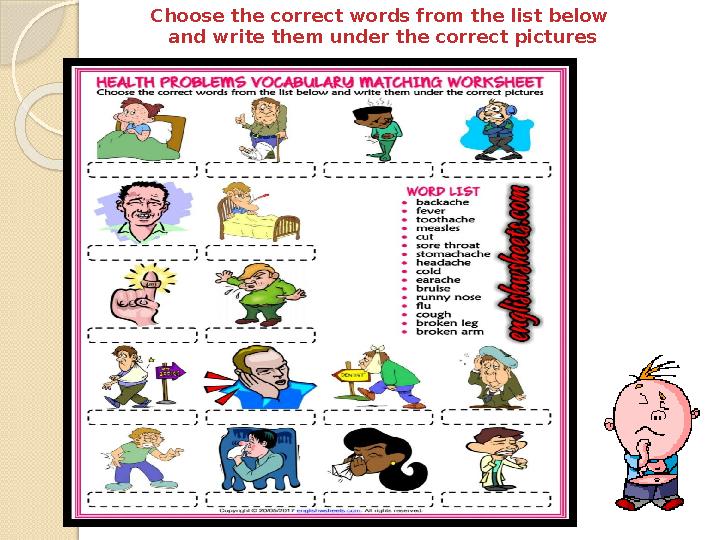 С hoose the correct words from the list below and write them under the correct pictures
