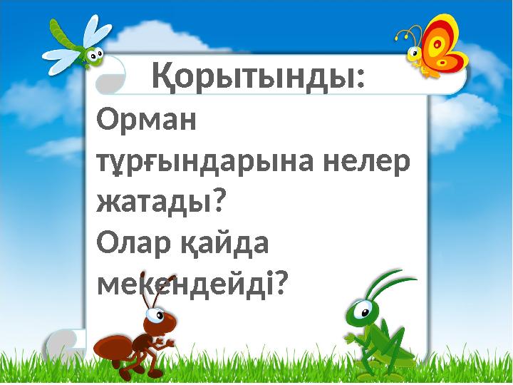 Қорытынды: Орман тұрғындарына нелер жатады? Олар қайда мекендейді?