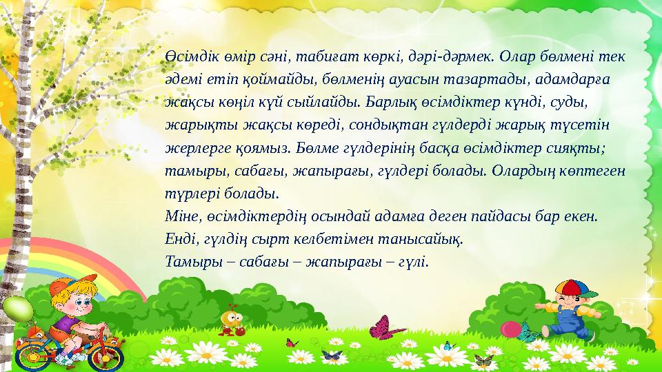 Өсімдік өмір сәні, табиғат көркі, дәрі-дәрмек. Олар бөлмені тек әдемі етіп қоймайды, бөлменің ауасын тазартады, адамдарға жақс