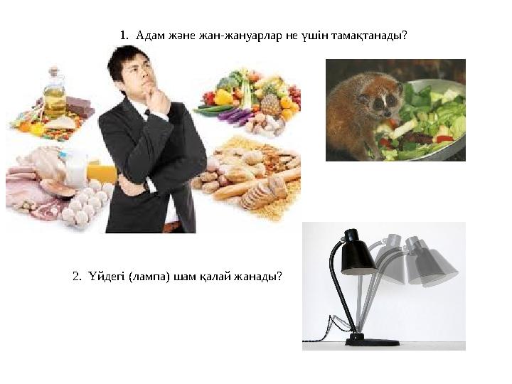 1. Адам және жан-жануарлар не үшін тамақтанады? 2. Үйдегі (лампа) шам қалай жанады?