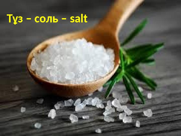 Тұз – соль – salt