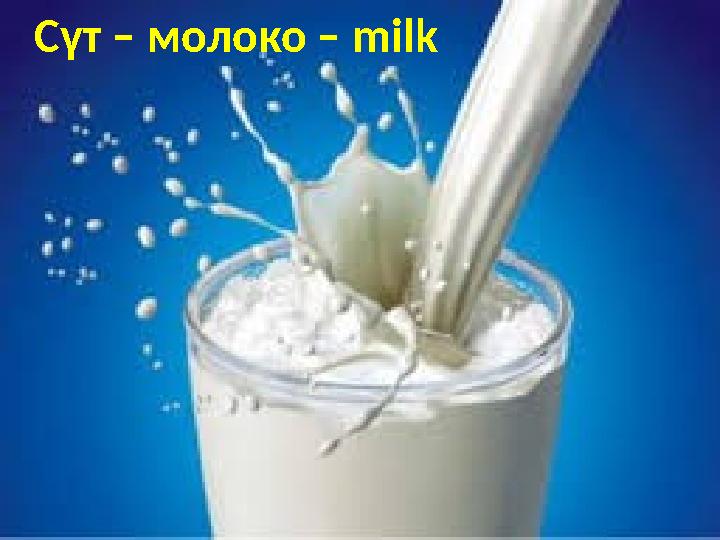 Сүт – молоко – milk