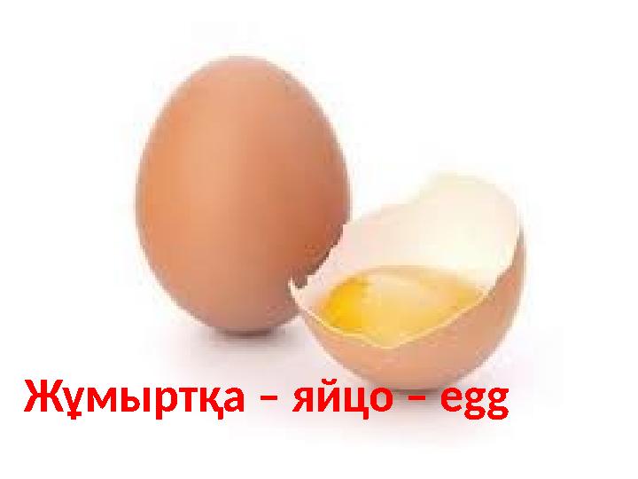 Жұмыртқа – яйцо – egg